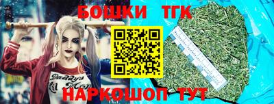 МДПВ Славгород
