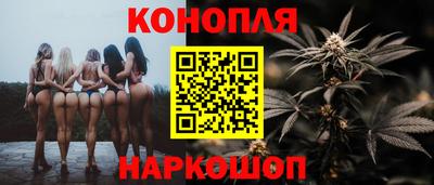 МДПВ Славгород