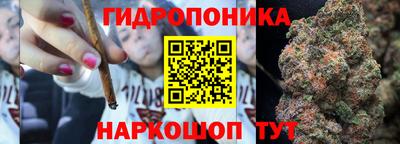 МДПВ Славгород